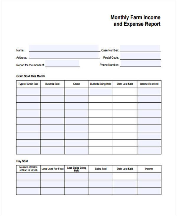 27 Printable Expense Report Forms