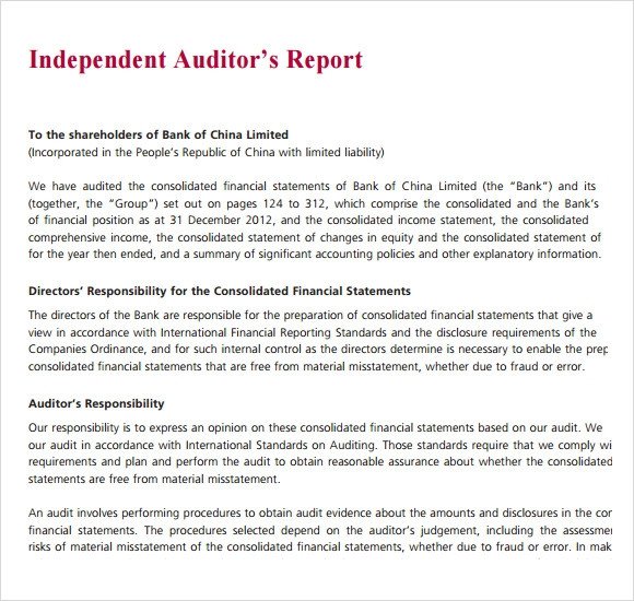 Sample Audit Report 16 Documents in PDF Word