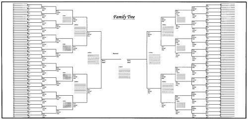 Family Tree Template Family Tree Template Charts