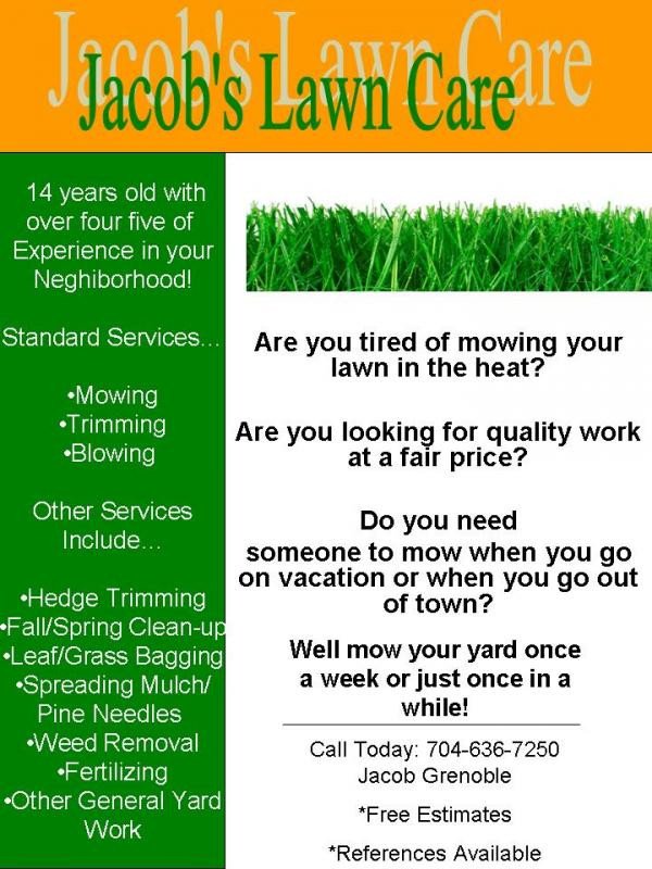 My lawn care flyer what do you think