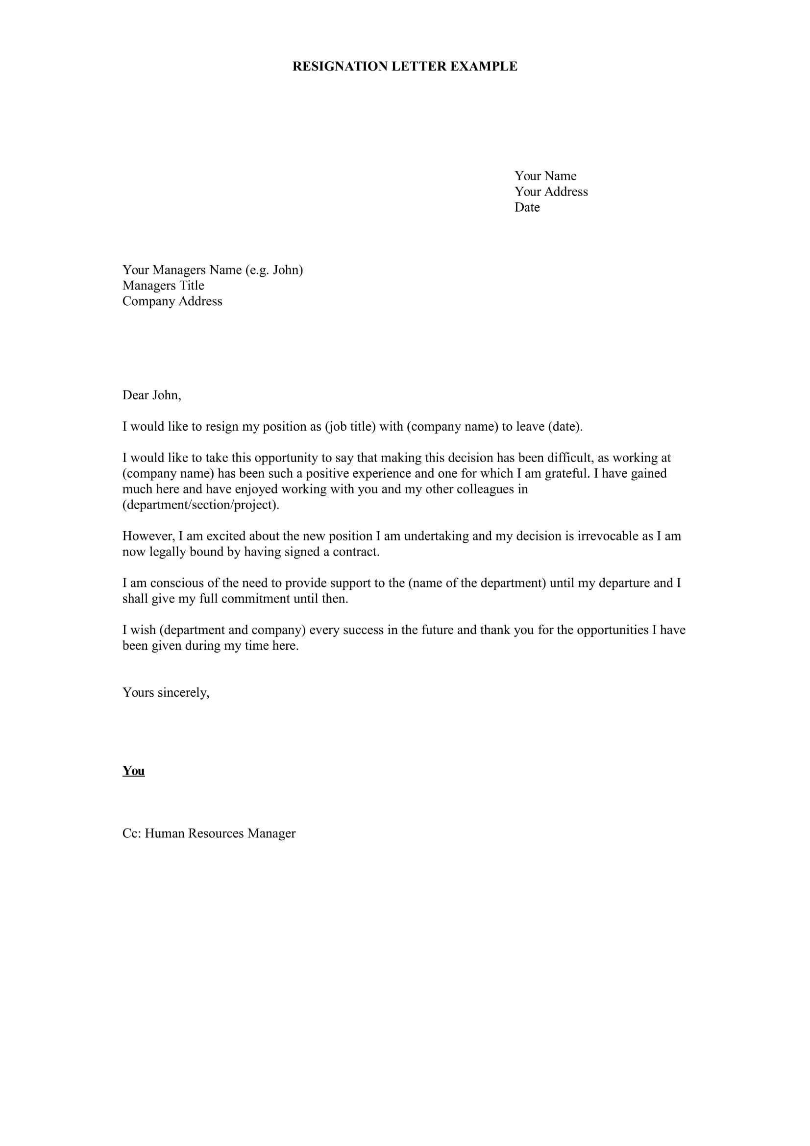 17 Free Resignation Letter PDF DOC