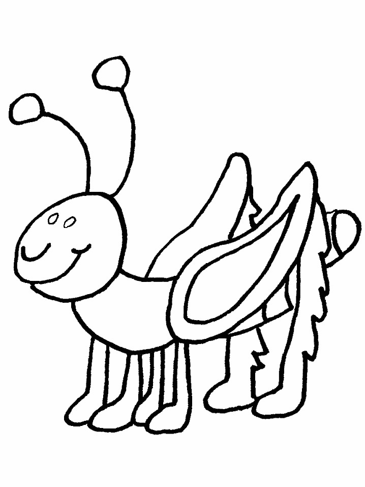 Firefly Lightning Bug Coloring Page Sketch Coloring Page