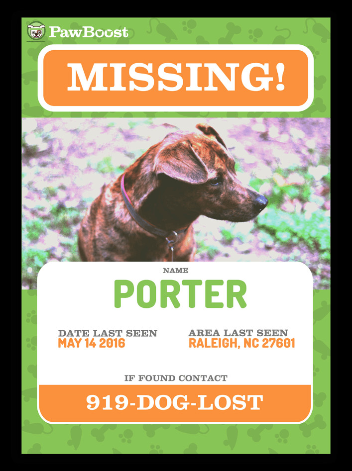 Find Your Lost Pet