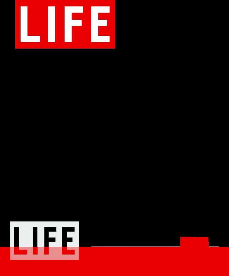 LIFE Magazine Cover Dryden Art