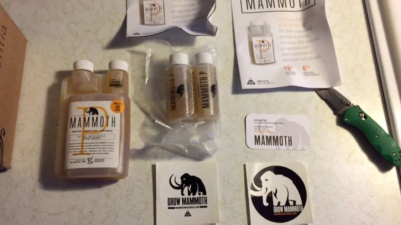 Mammoth P t sample Stoked
