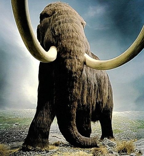 Woolly mammoths could roam Earth again thanks to DNA in