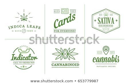 Set Medical Cannabis Marijuana Sign Label Stock Vector
