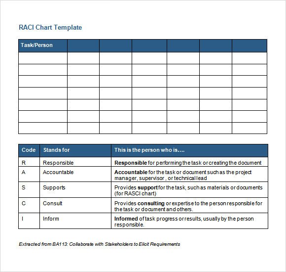 Sample RACI Chart 6 Free Documents in PDF Word Excel