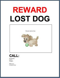 Adopt a Pet Blog Free Template Lost or Found Pet