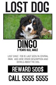 Make Missing Pet Flyers in Minutes