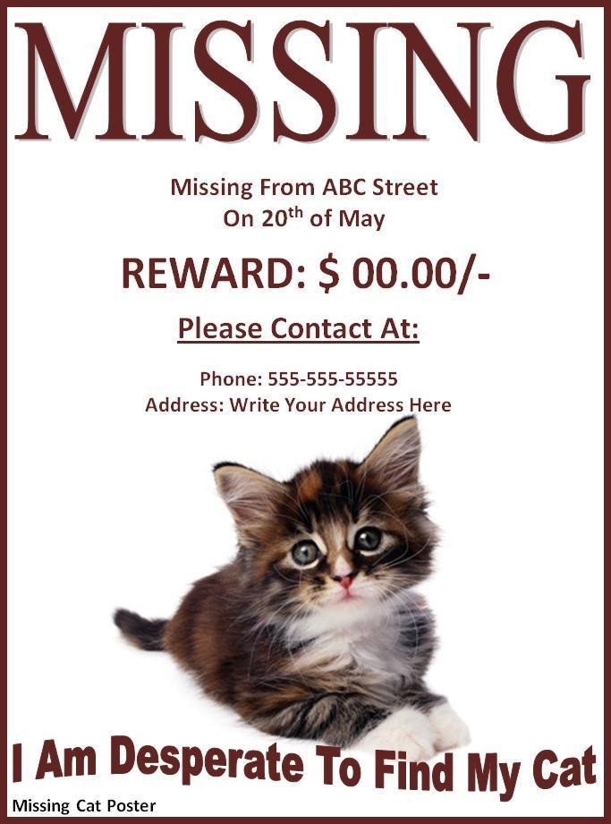 10 Missing Lost Pet Poster Templates