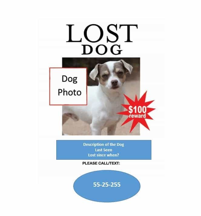 40 Lost Pet Flyers [Missing Cat Dog Poster] Template