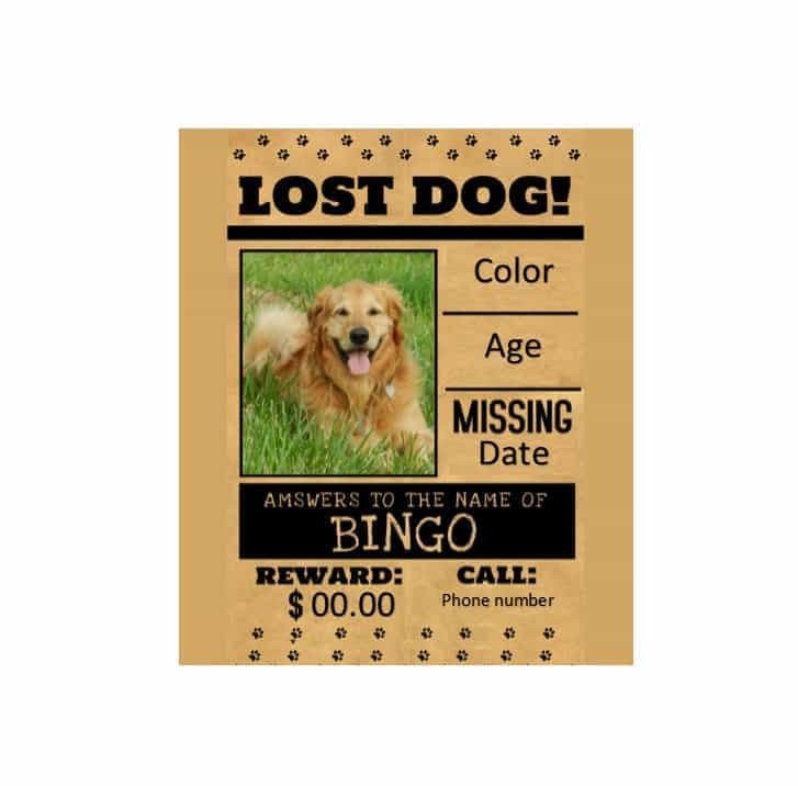 40 Lost Pet Flyers [Missing Cat Dog Poster] Template