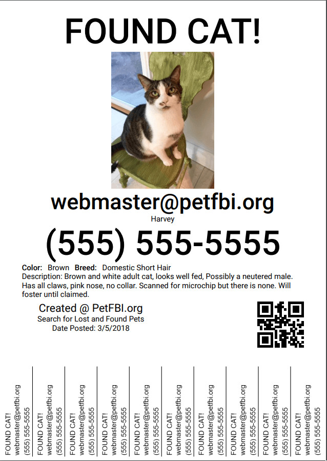 Create a Lost or Found Pet Flyer