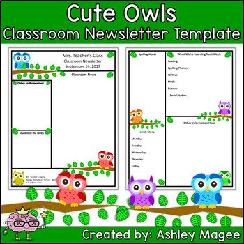 Teacher Newsletter Template Primary Owls theme by Mrs