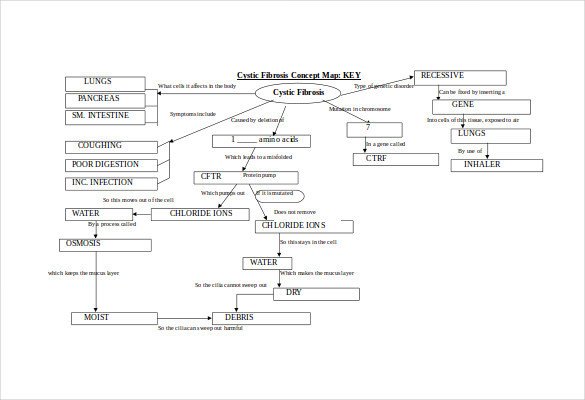 Concept Map Template 10 Download Free Documents in PDF