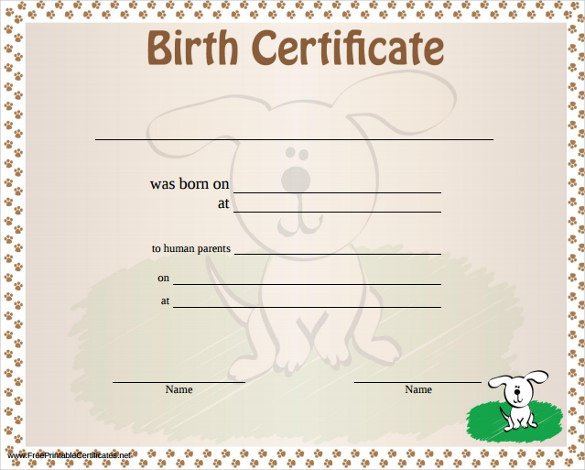 Birth Certificate Template printable Free Download