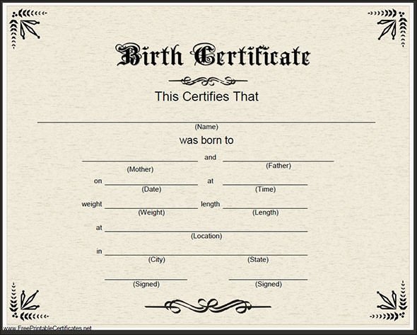 Sample Birth Certificate 22 Documents in Word PDF