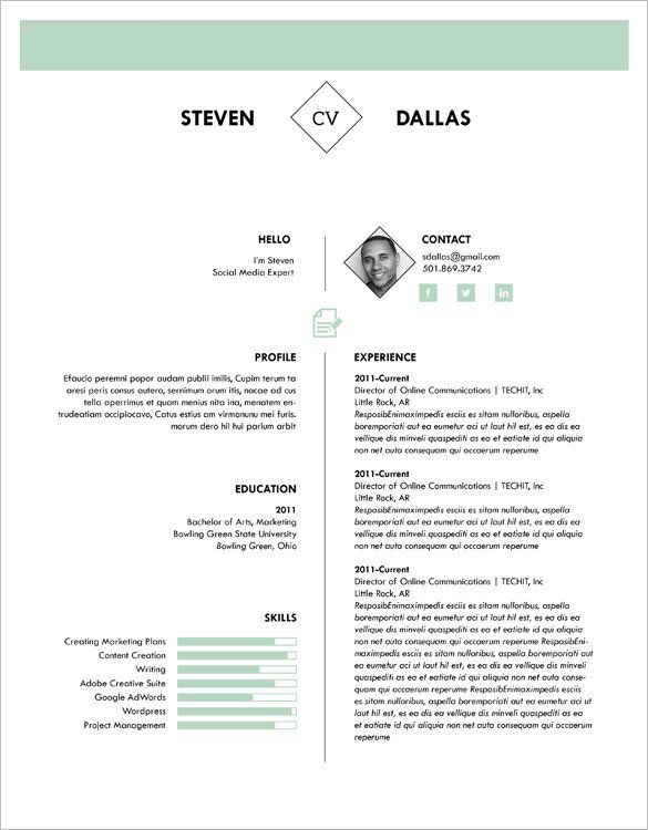 41 e Page Resume Templates Free Samples Examples