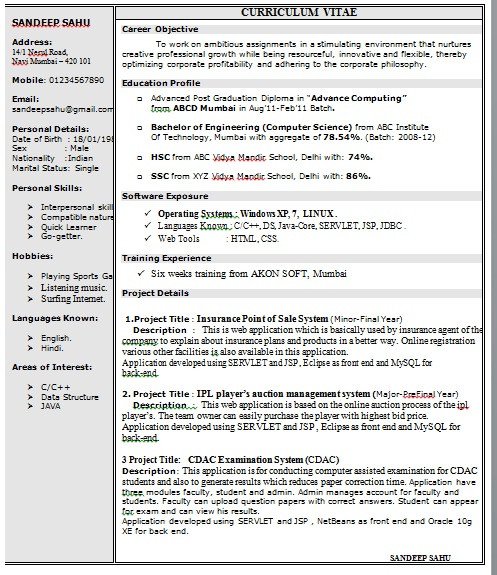 e Page Resume Format in doc