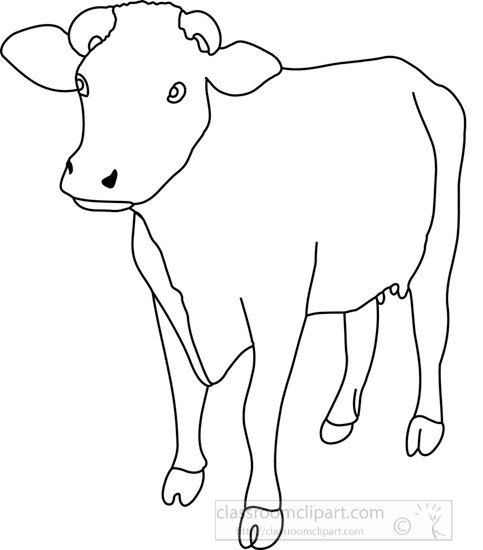Animals cow front view 4A outline Classroom Clipart