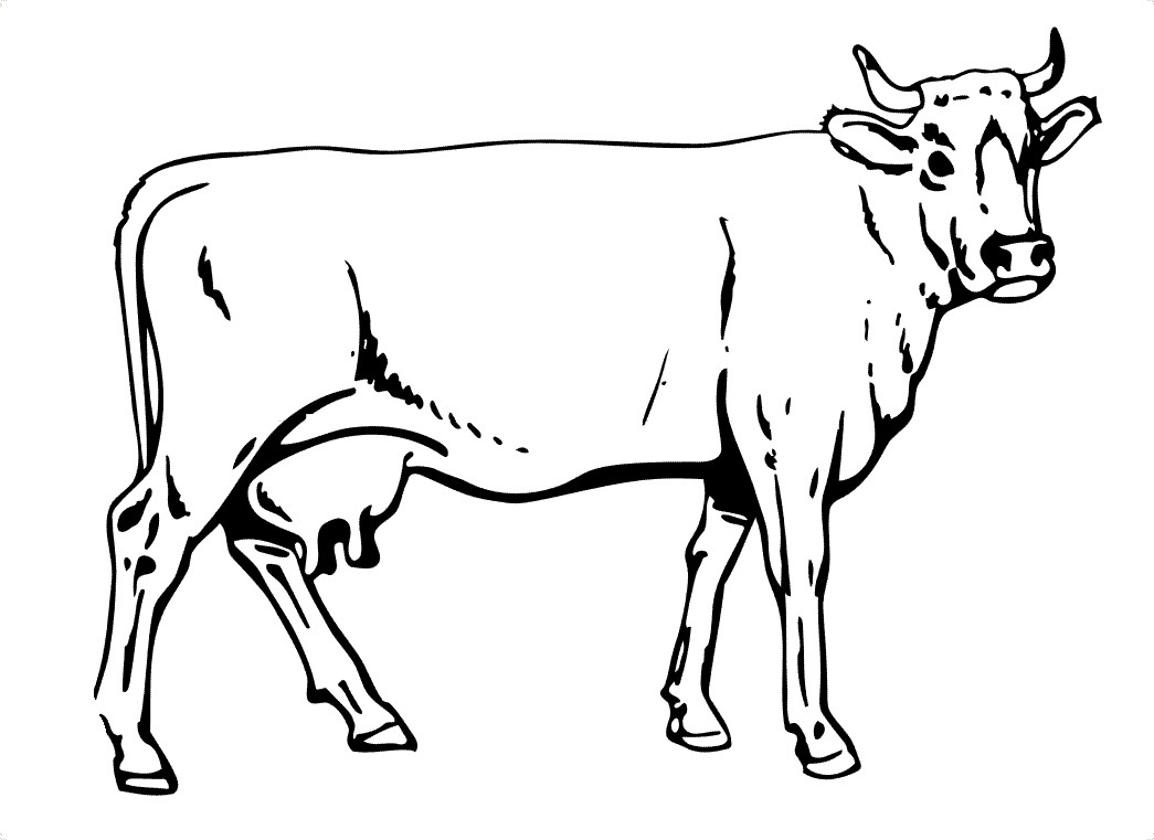 Cow For Kids Clipart library Clip Art Library