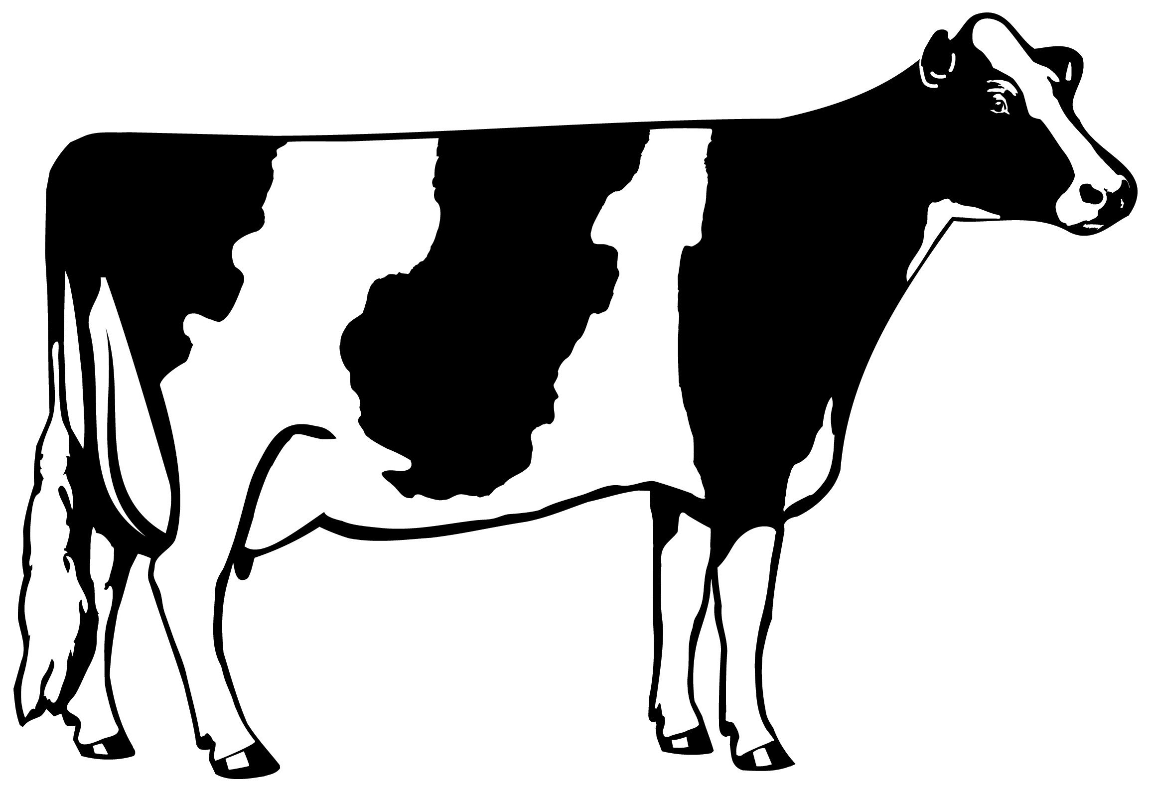 Free Outline A Cow Download Free Clip Art Free Clip