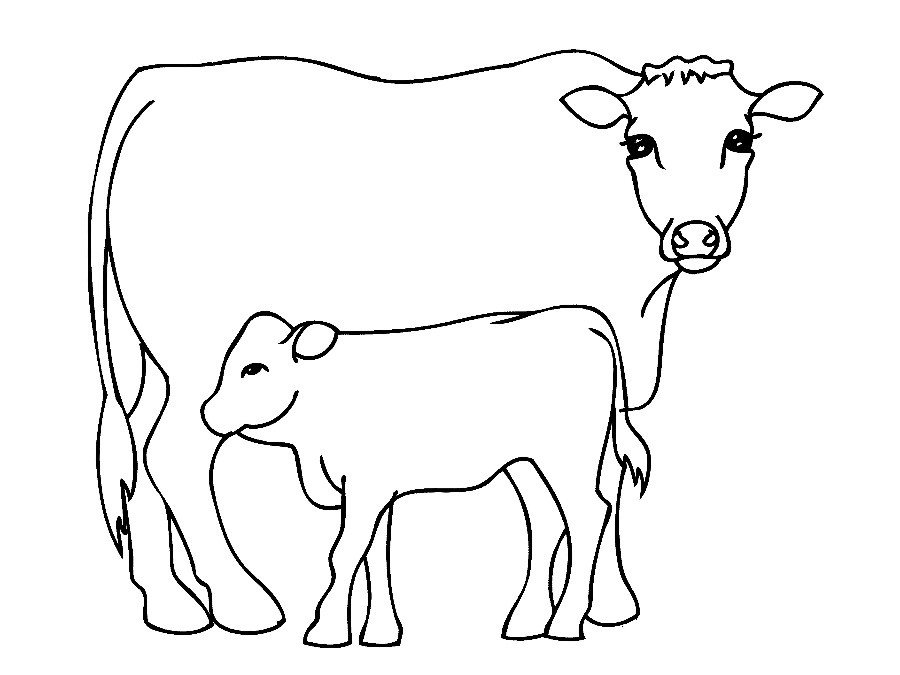 Outline A Cow Cliparts