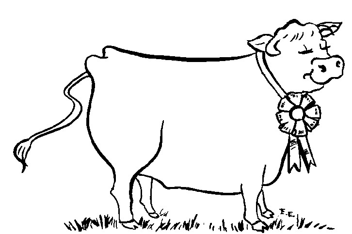Show Cow Outline