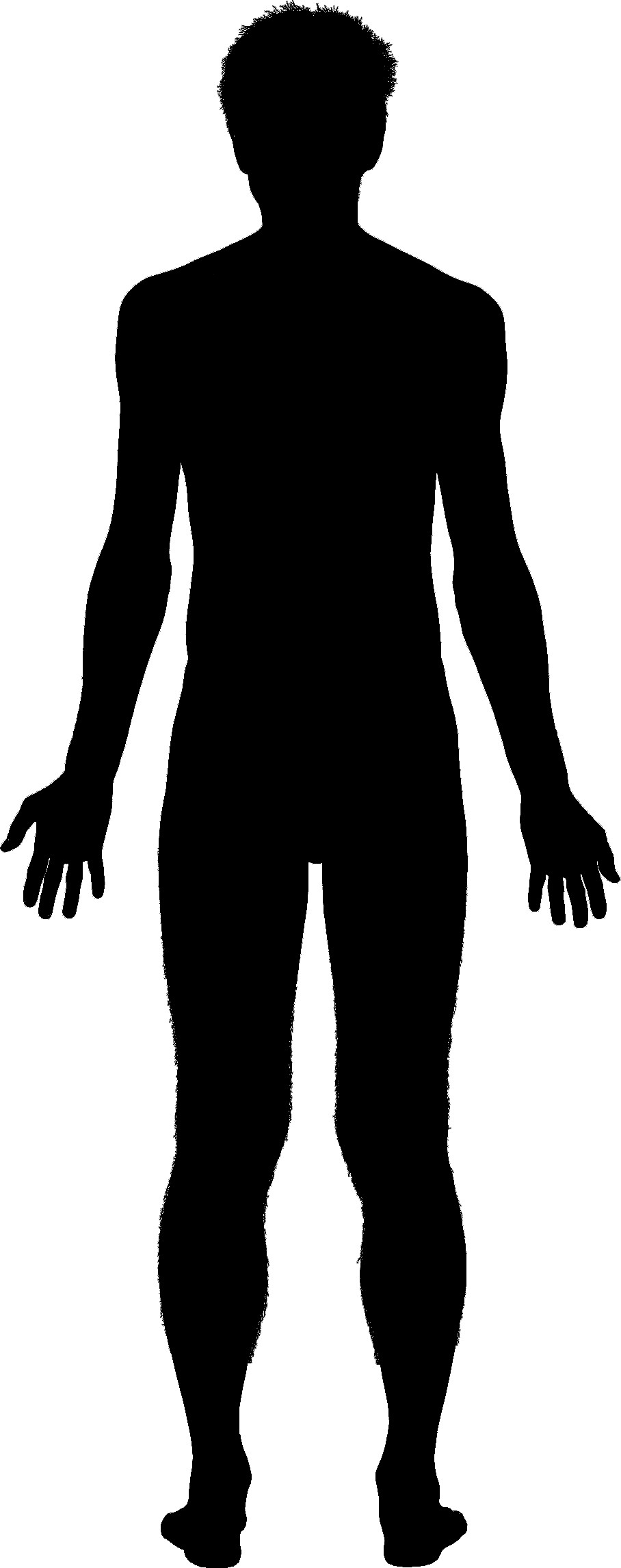 PNG Human Body Outline Transparent Human Body Outline PNG