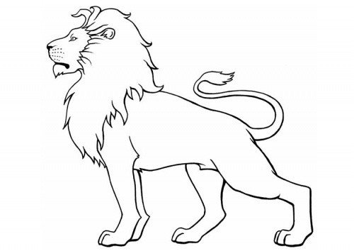 25 best ideas about Simple lion tattoo on Pinterest