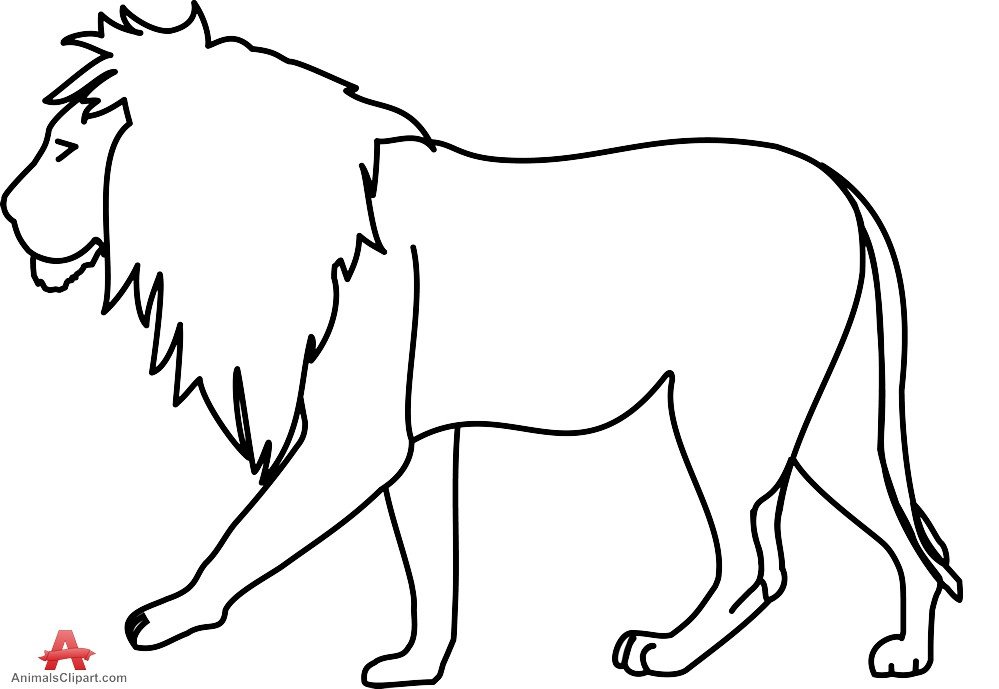 Lion black and white outline lion clipart drawing free
