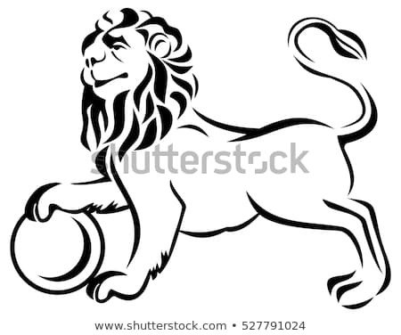 Proud Lion Stock Vector Shutterstock
