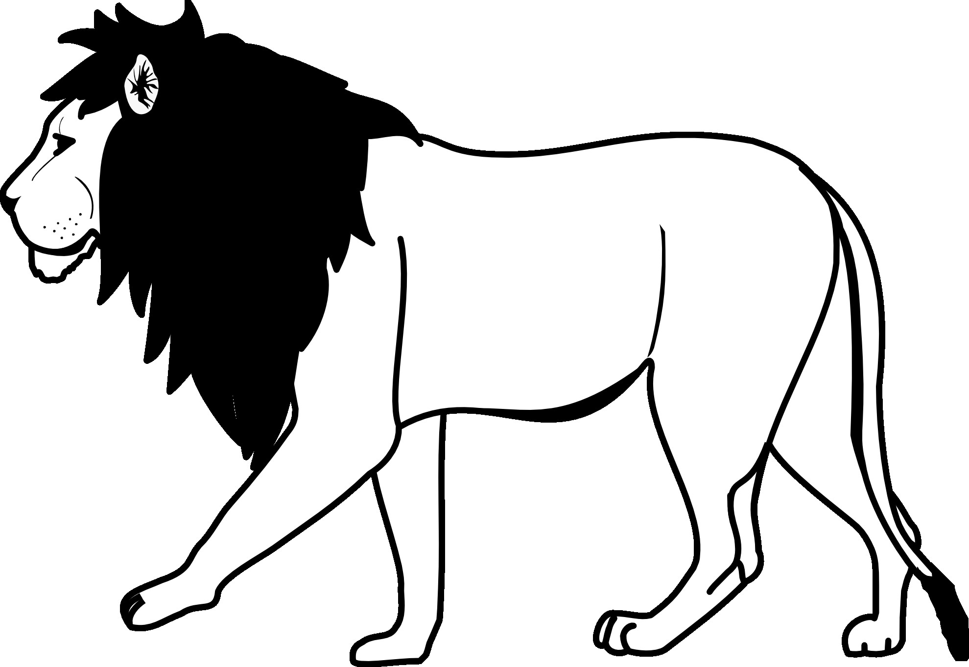 White Lion clipart lion outline Pencil and in color