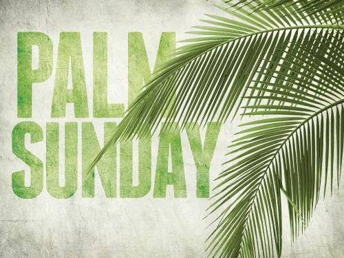 Church PowerPoint Template Palm Fronds SermonCentral