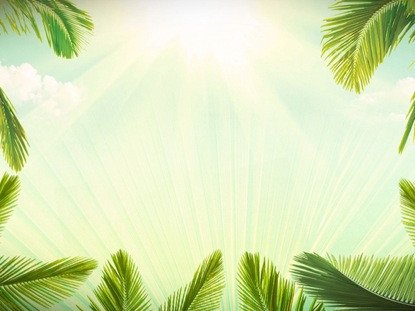 Palm Sunday Background Loop