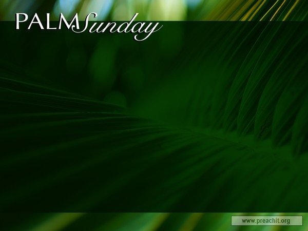 Service Background by Event Palm Sunday