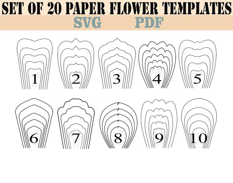 Bundle 1 All 20 PDF & SVG Paper Flower Template giant