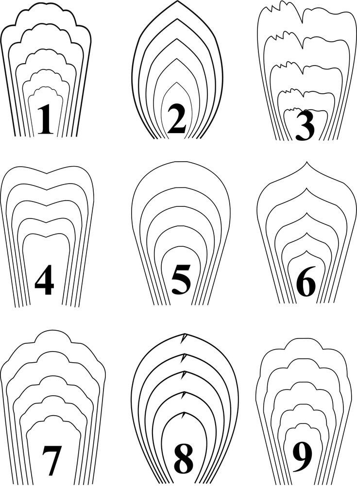 bundle 1 All 20 PDF & SVG Paper Flower Template giant
