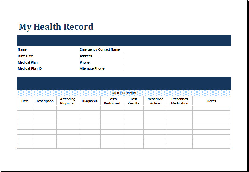 MS Excel Personal Medical Health Record Template