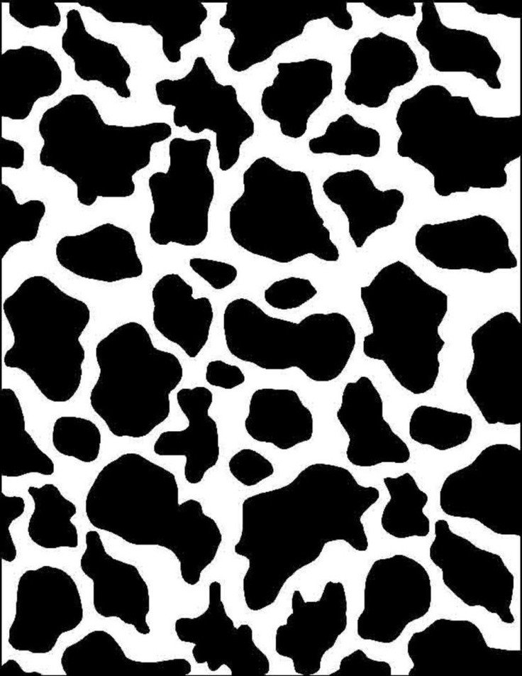 38 best images about Cow wallpapers on Pinterest