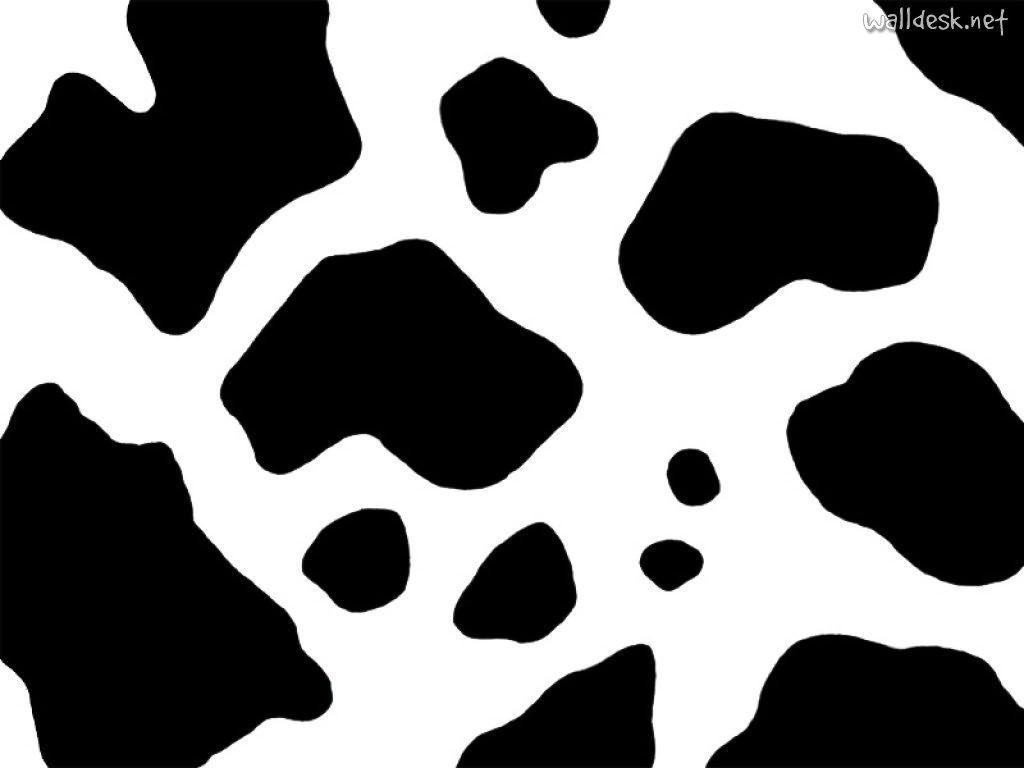 Cow Backgrounds Wallpaper Cave