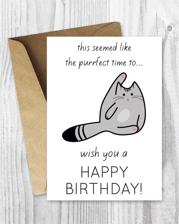 Best 25 Cat birthday cards ideas on Pinterest