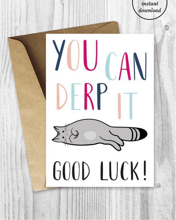 Good Luck Cards Funny Cat Good Luck Printable Cards You Can