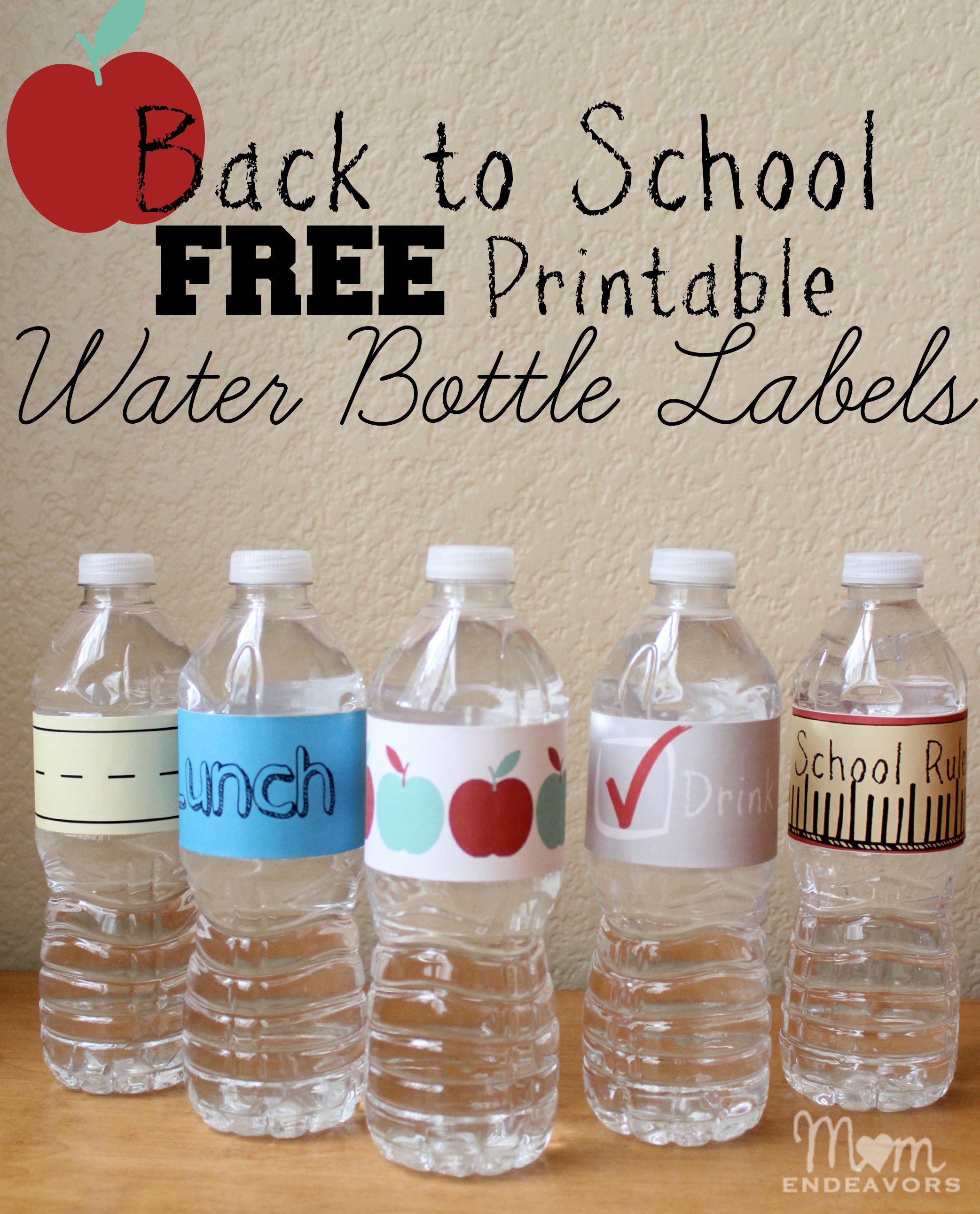 Convenient & Fun Drinks for Back to School Lunches with