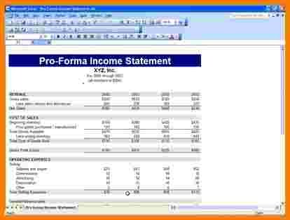11 pro forma financial statements template