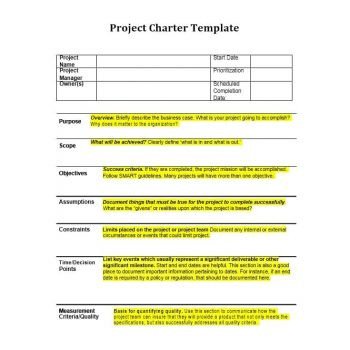 40 Project Charter Templates & Samples [Excel Word