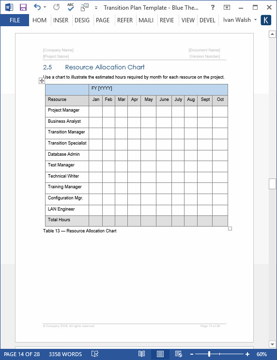 Transition Plan – MS Word Template – Instant Download