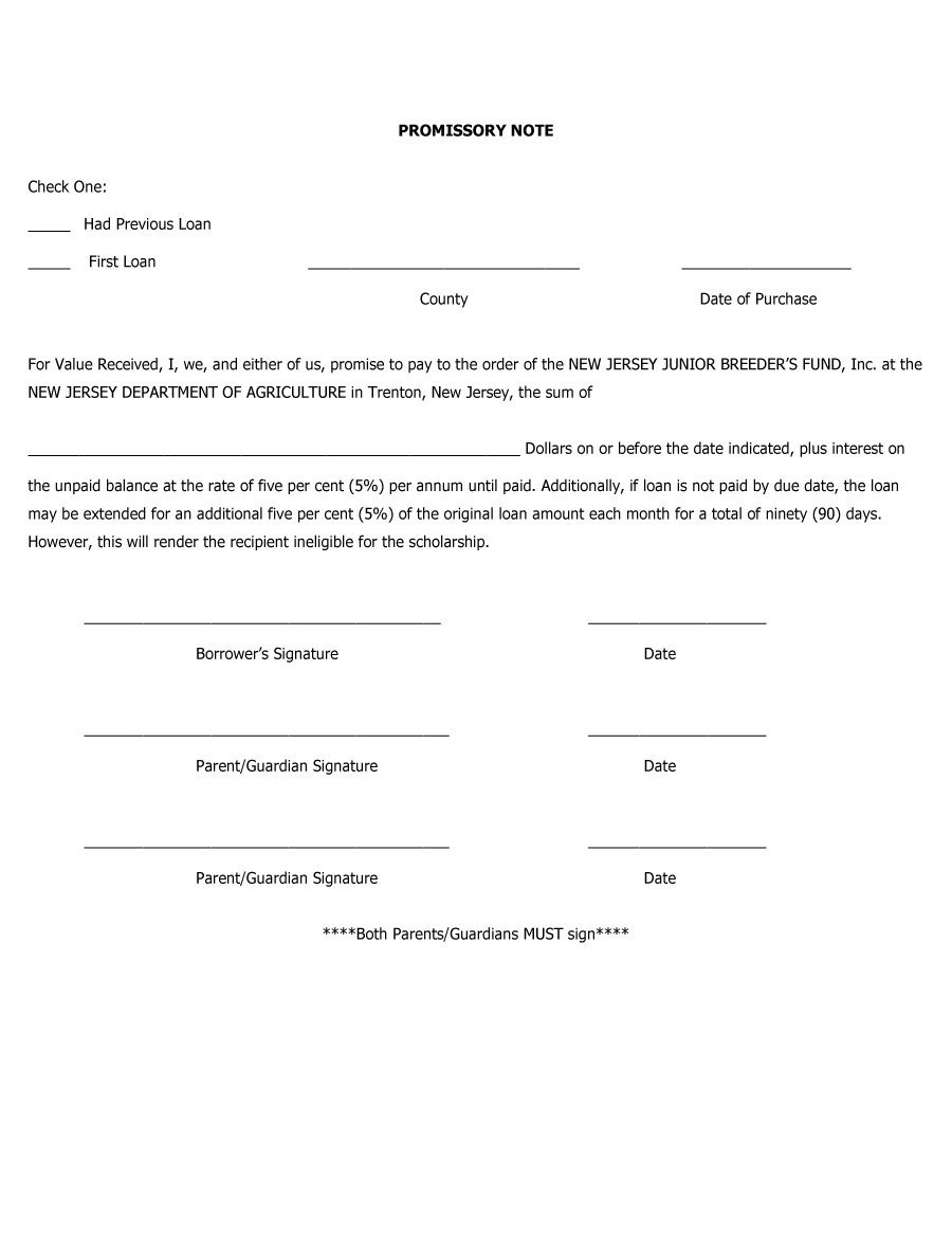 45 FREE Promissory Note Templates & Forms [Word & PDF]