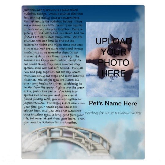 Pet Memorial Rainbow Bridge Plaque Personalize